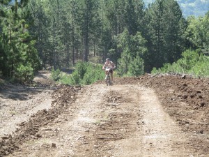 IMG_0366_resize
