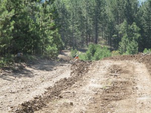 IMG_0370_resize