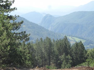 IMG_0377_resize