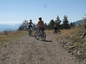 IMG_0390_resize