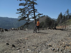 IMG_0402_resize
