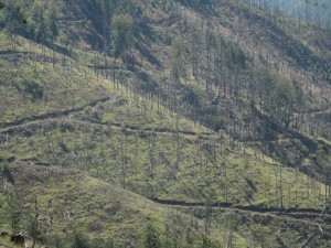 IMG_0408_resize