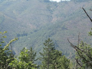 IMG_0410_resize