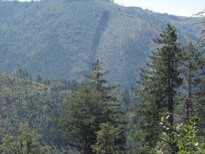 IMG_0411_resize