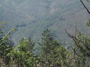 IMG_0412_resize